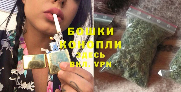 соль ск Белокуриха