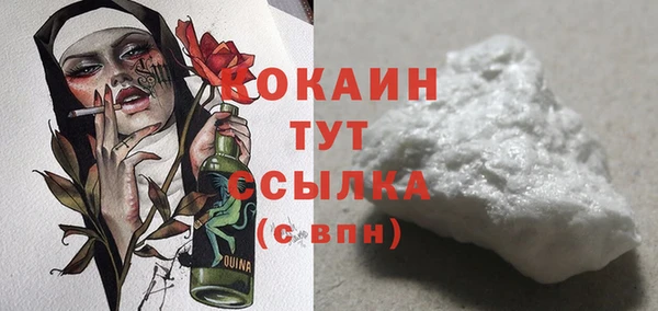 соль ск Белокуриха