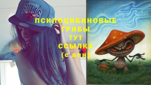 прущая мука Белоозёрский