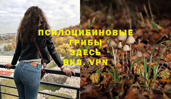 соль ск Белокуриха